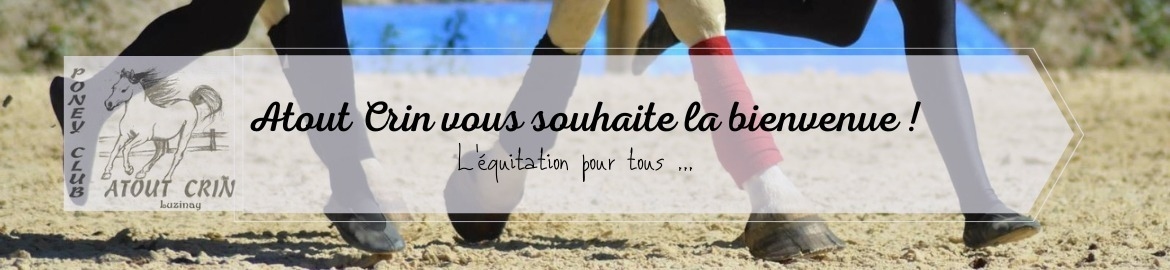 HARAS DU CHANNEL - Luzinay