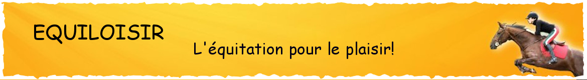 ASSOCIATION PONEY-CLUB D'HERICOURT - Hericourt