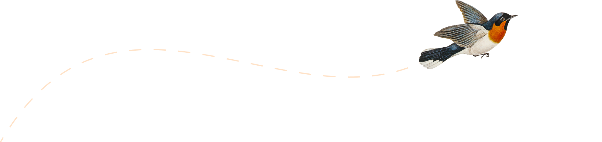 ECURIES DU ROC - Sainte Fereole