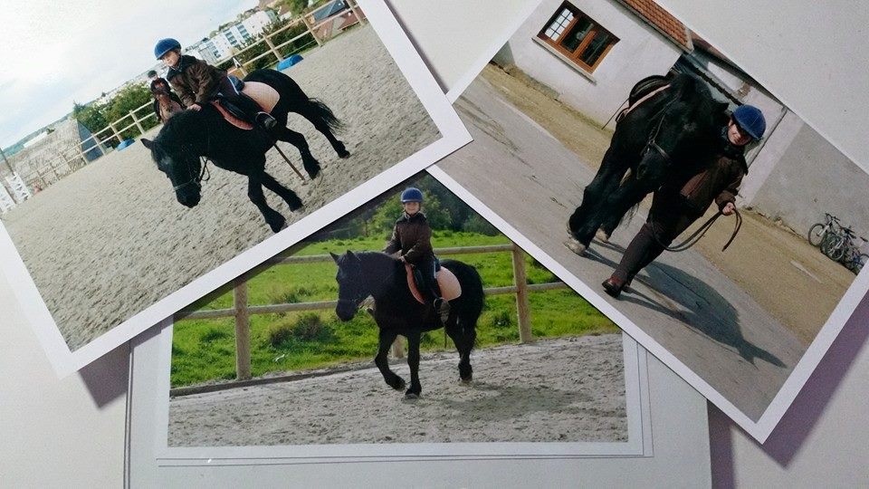 NOYON EQUITATION - Noyon