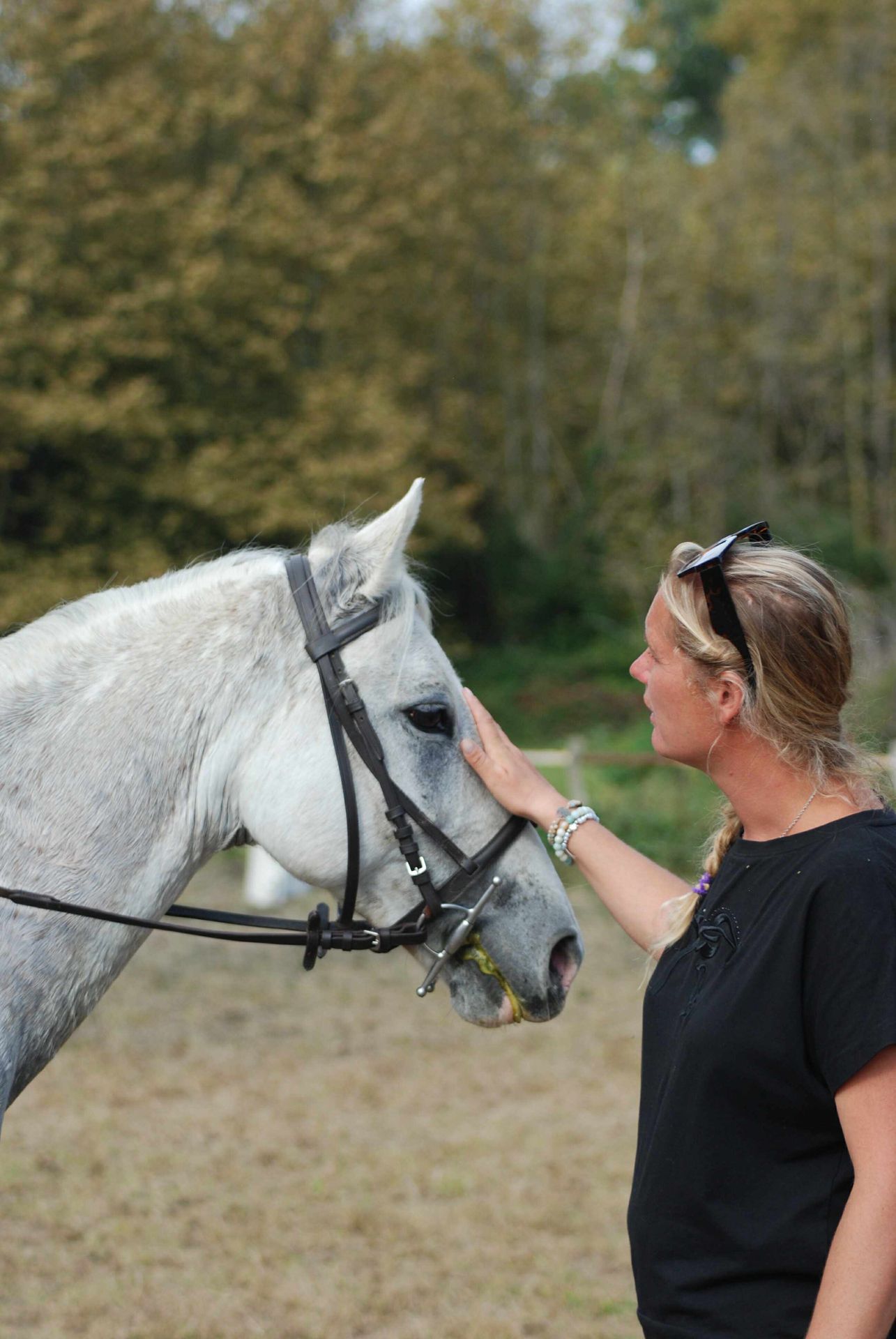 ECOLE D'EQUITATION - Aurensan