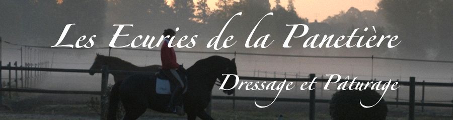 ELEVAGE DRESSAGE ET PATURAGES - Autouillet