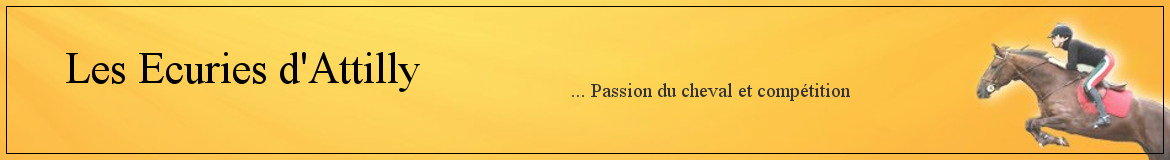 LES ECURIES D ATTILLY - Ferolles-Attilly