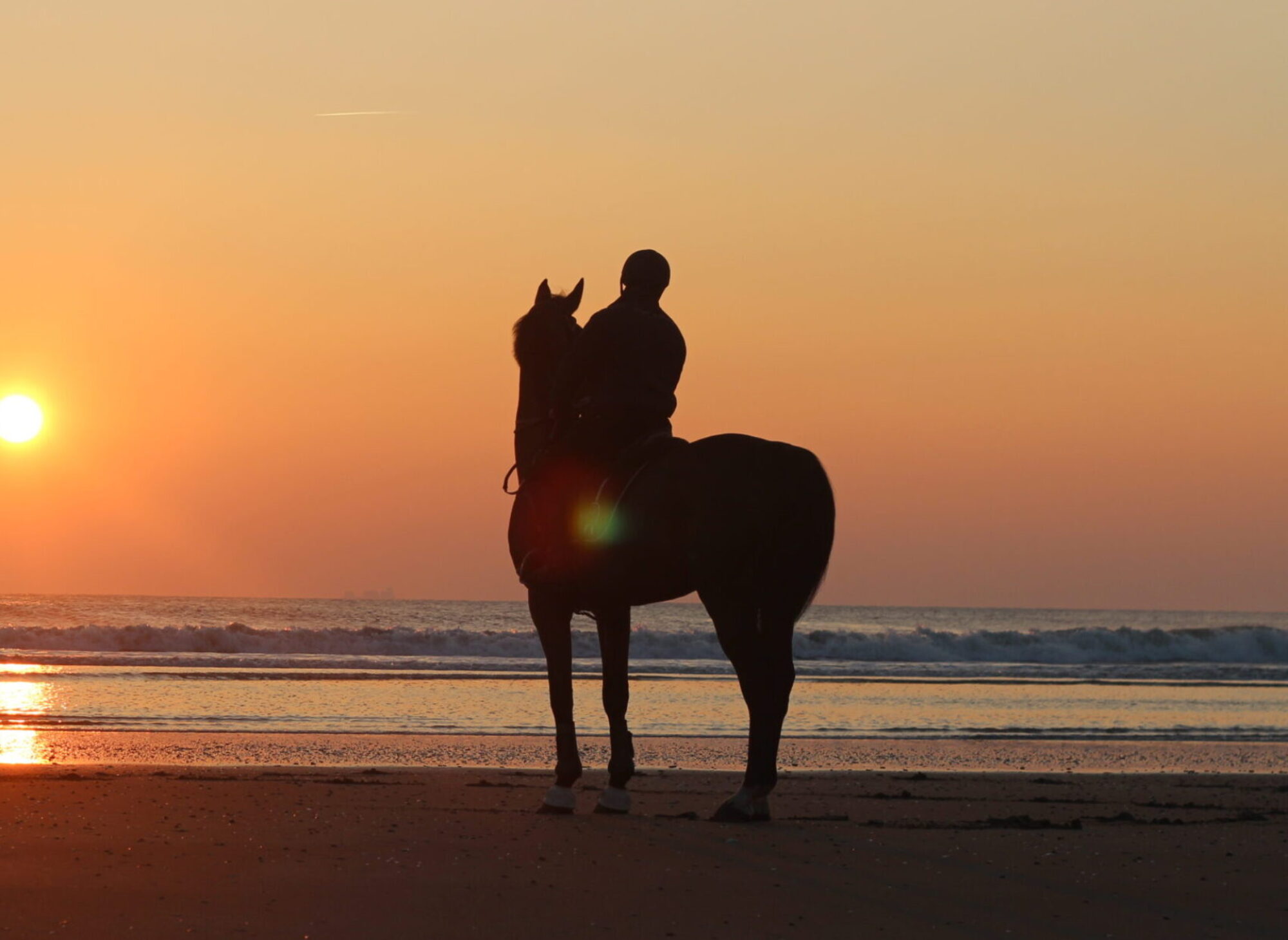 CENTRE EQUESTRE DE ST BREVIN LES PINS - Saint-Brevin-Les-Pins