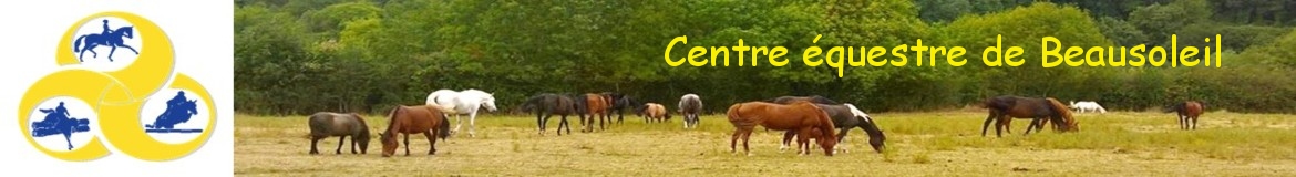 EQUITATION DU SAINT MAIXENTAIS - Azay-Le-Brule