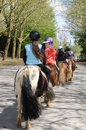 ASSOCIATION RENNES EQUITATION - Bruz