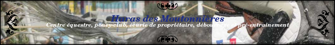 HARAS DES MOUTONNIERES - Val-Au-Perche