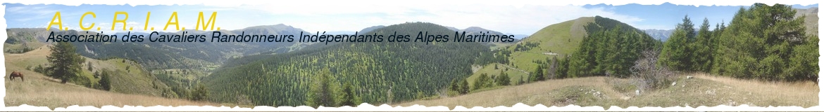 LES ECURIES DU BRUSC - Chateauneuf-Grasse