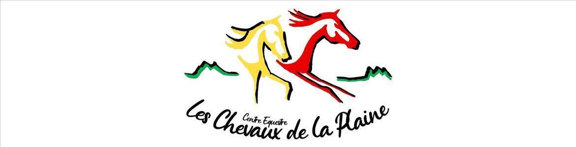 CONSEIL DE LA FILIERE CHEVAL AUVERGNE-RHONE-ALPES - Feurs