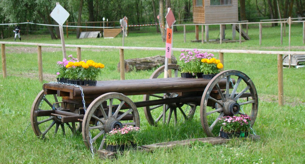 JUIN EQUITATION - Pont-Du-Chateau