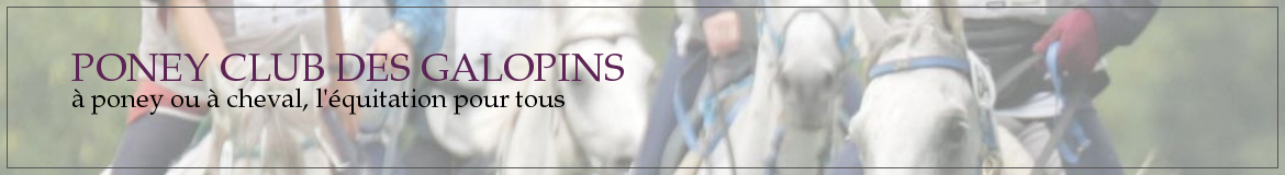PONEY CLUB DE POITIERS - Poitiers