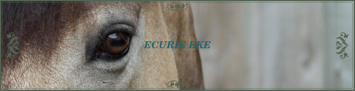 HARAS DE MO - Sadirac