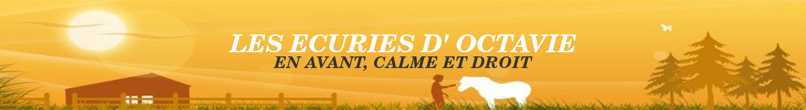 LES ECURIES D'OCTAVIE - Milly-La-Foret