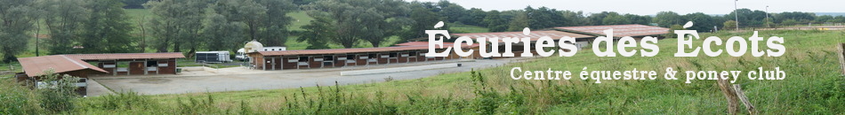 ECURIE DE FAYE (EARL) - Sauvigny-Les-Bois