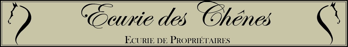 LES ECURIES DE MEZY - Mezy-Sur-Seine