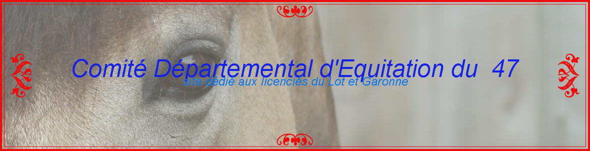 COMITE DEPARTEMENTAL D'EQUITATION DE LOT-ET-GARONNE - Agen
