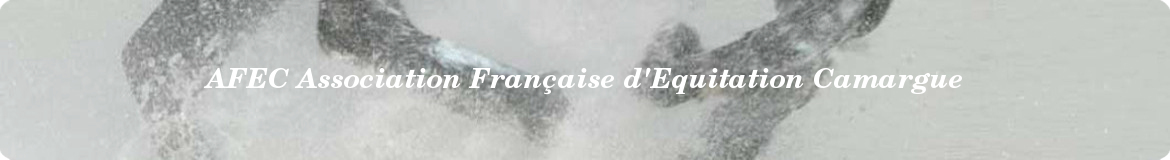 EQUITATION CAMARGUE - Nimes