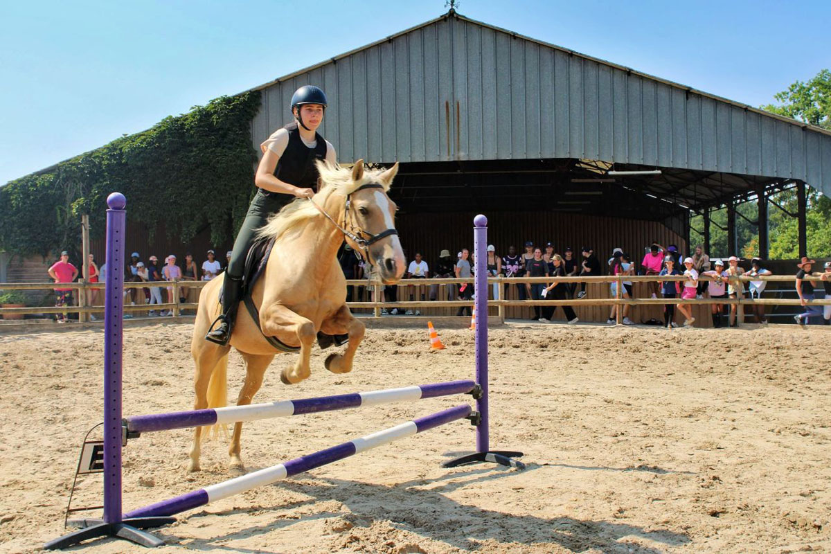 DOMAINE DE L'ESPERANCE (PONEY CLUB DE L'ESPERANCE) - Dampierre-Sous-Bouhy