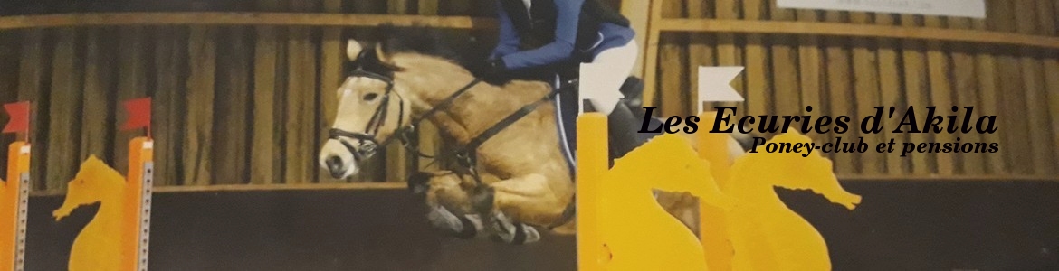LES ECURIES D AKILA - Vinneuf
