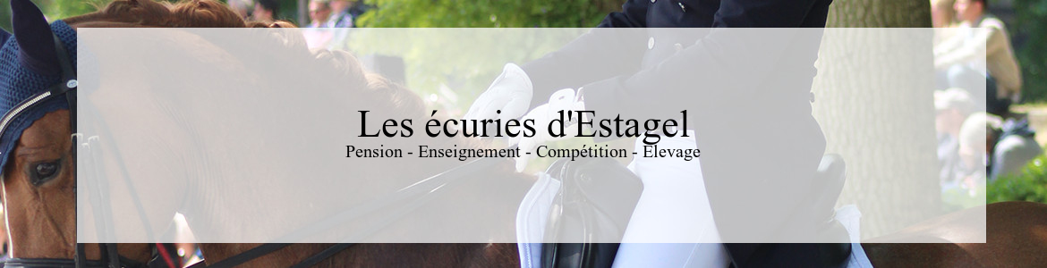 ESTAGEL EQUITATION - St Gilles