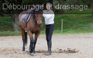 EARL ECOLE D'EQUITATION DE CHAZERON - Chatel-Guyon