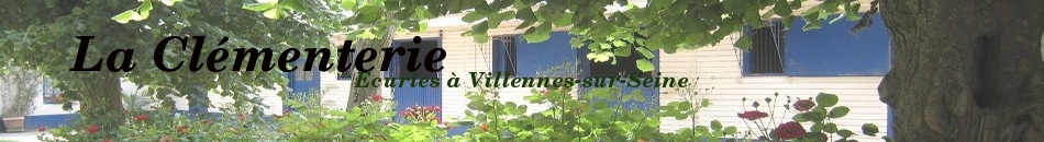 PONEY CLUB DES GUERANDES (LES SHETLANDS DE MEDAN) - Villennes-Sur-Seine