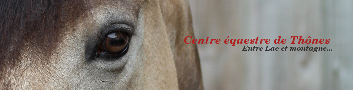 CENTRE LOISIRS EQUESTRE THONES (ASSOCIATION) - Thones