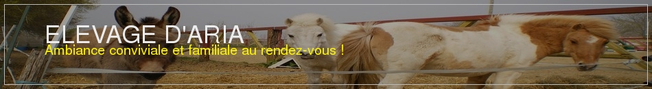 CENTRE DE FORMATION DES GARDES EQUESTRES DE LA CHARENTE MARITIME - Ardillieres