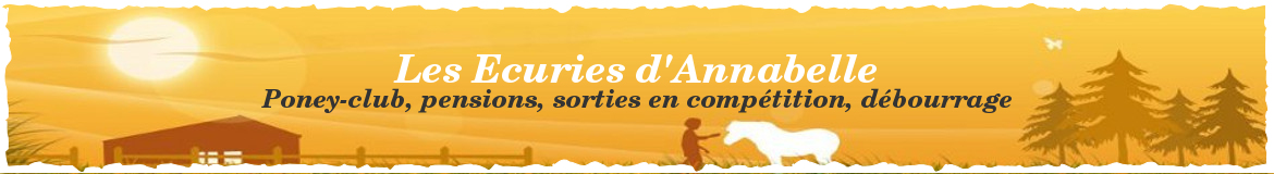 LES ECURIES D ANNABELLE - La Guerche-Sur-L'Aubois