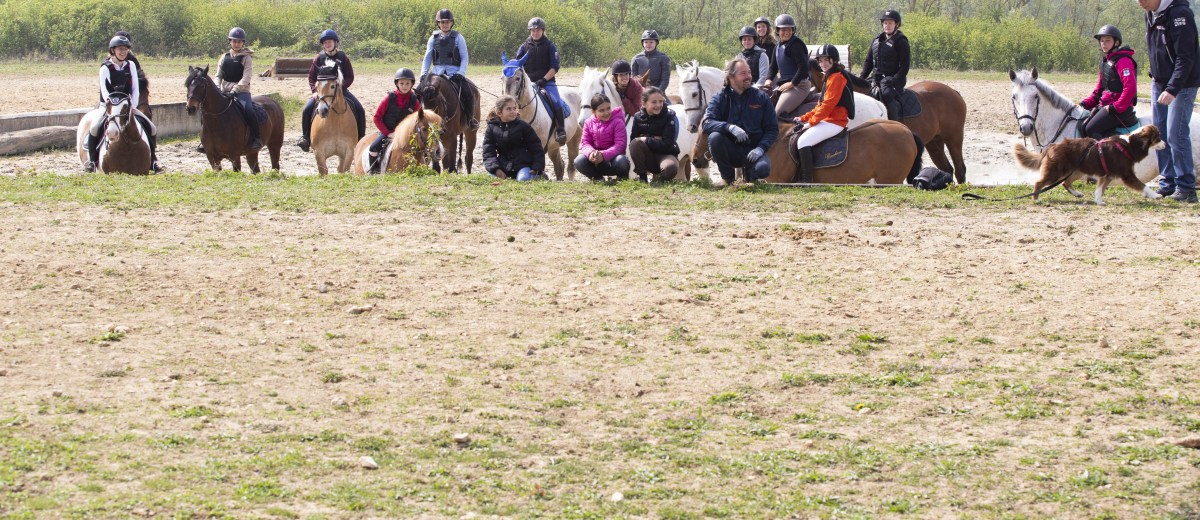 CENTRE EQUESTRE DE BOIS FLEURI - Claye-Souilly