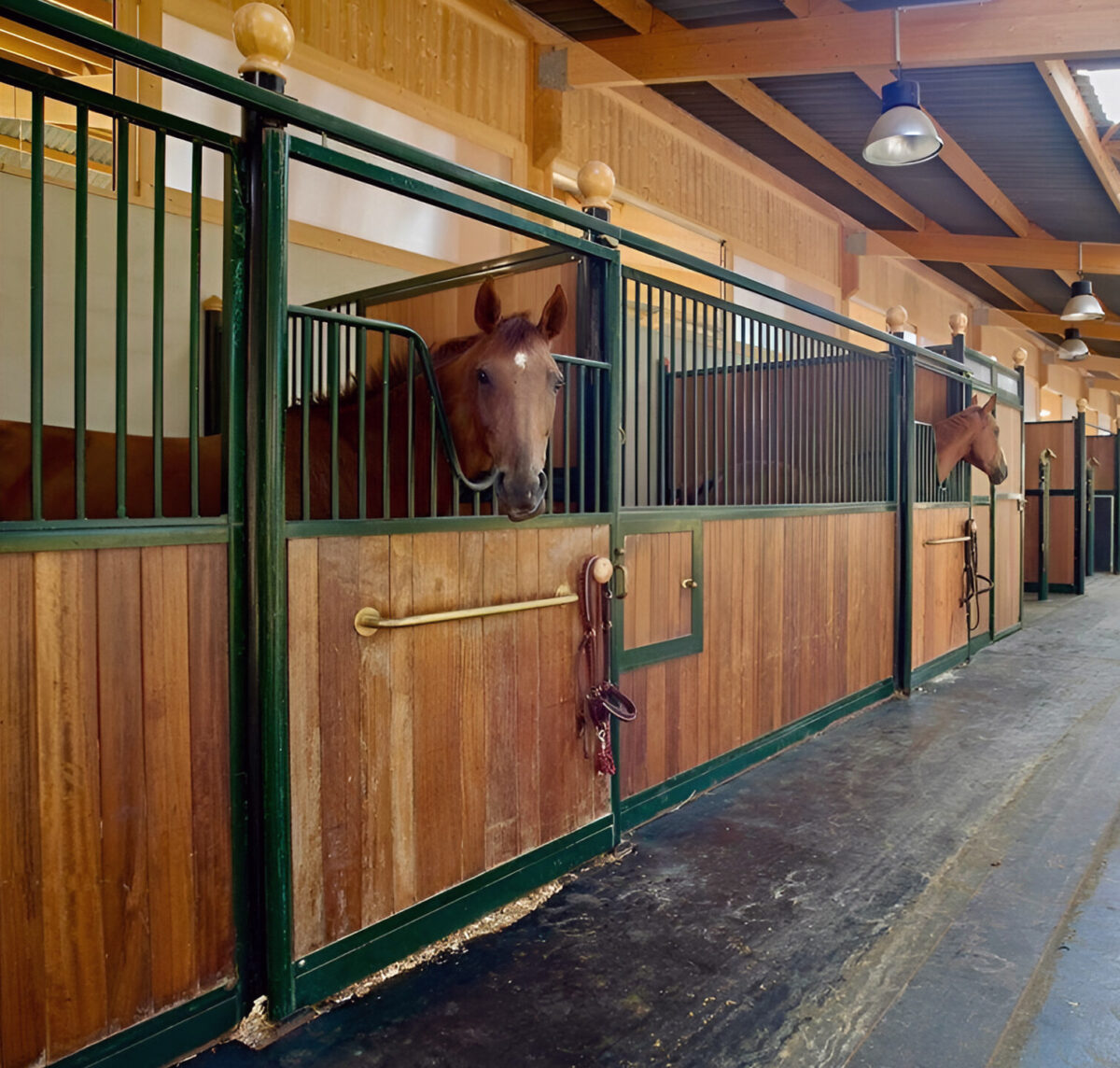 HARAS DE TOMBADOU - Pertuis