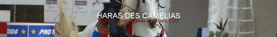 HARAS DES CAMELIAS - Mons-En-Pevele