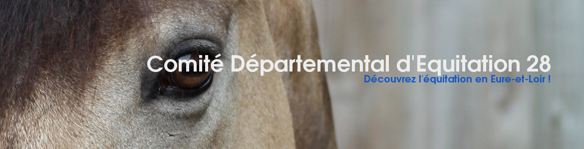 COMITE DEPARTEMENTAL D'EQUITATION D'EURE ET LOIR (C.D.E. 28) - Nogent Sur Eure