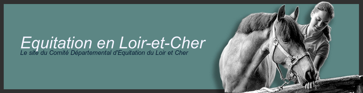 COMITE DEP D' EQUITATION DU LOIR ET CHER - Lamotte-Beuvron