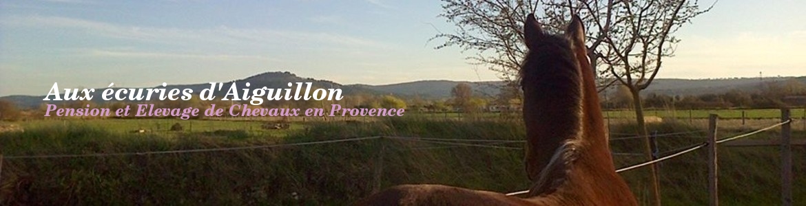 AUX ECURIES D AIGUILLON - Villelaure