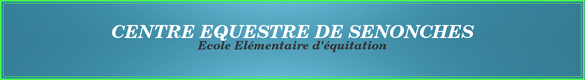 LES ECURIES DES LANDES - Senonches