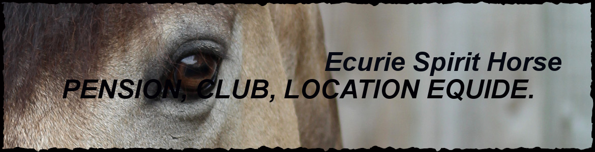 ECURIE SPIRIT HORSE - Marseille
