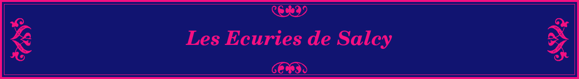 ROSOY EQUITATION LOISIRS - Sens