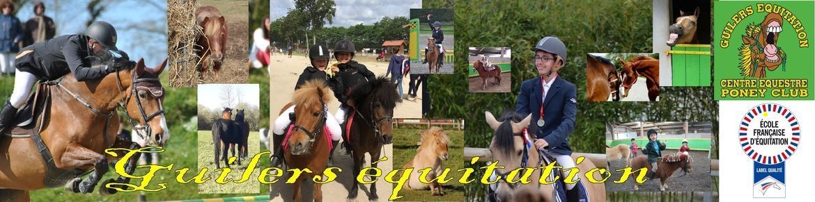 EARL GUILERS EQUITATION - Guilers