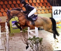 PRINGY EQUITATION SARL - Pringy
