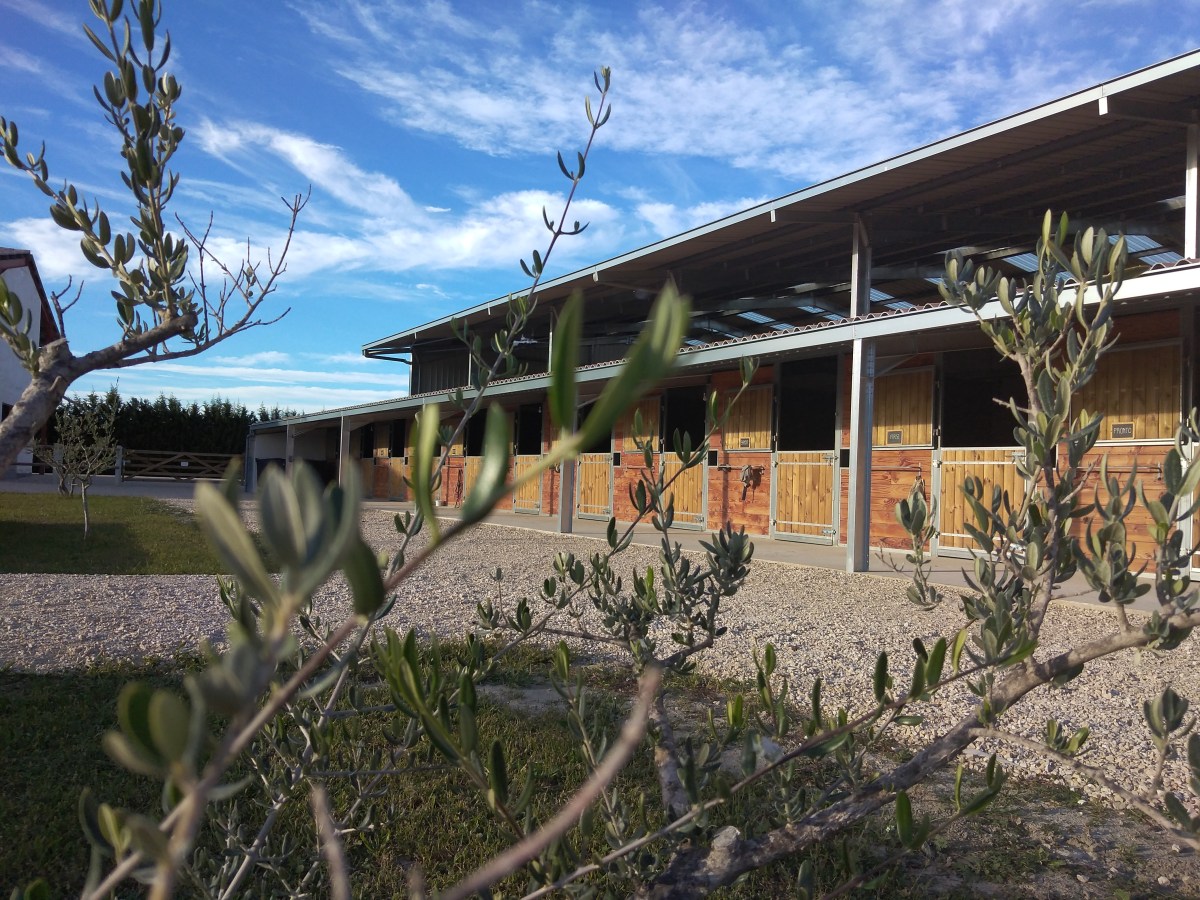 CLUB HIPPIQUE DES TAMARIS - Maillane