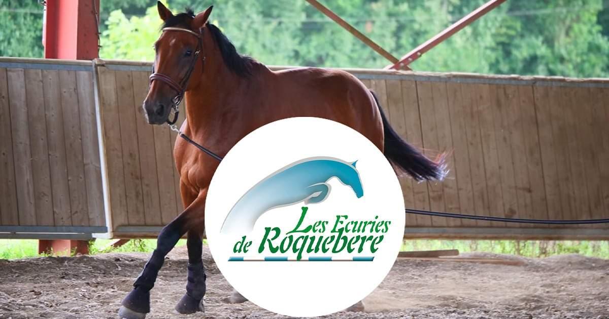LES ECURIES DE ROQUEBERE - Condom