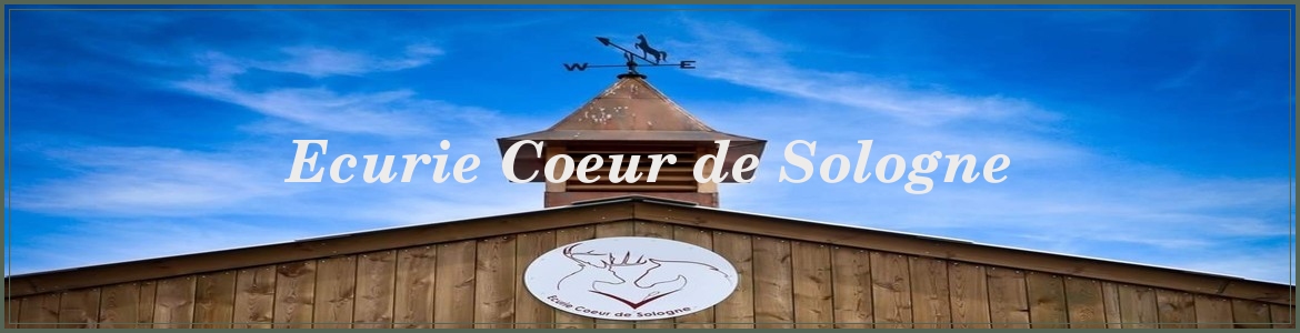 LES ECURIES DE LA BOULARDIERE - Vernou-En-Sologne