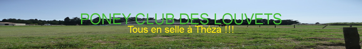 LE PONEY CLUB DES LOUVETS - Theza