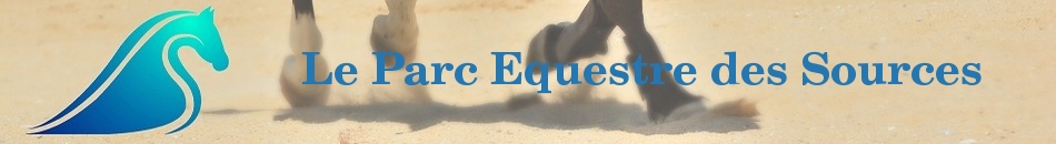 ASSOCIATION LES ECURIES DE MARIVAT - Montsinery-Tonnegrande