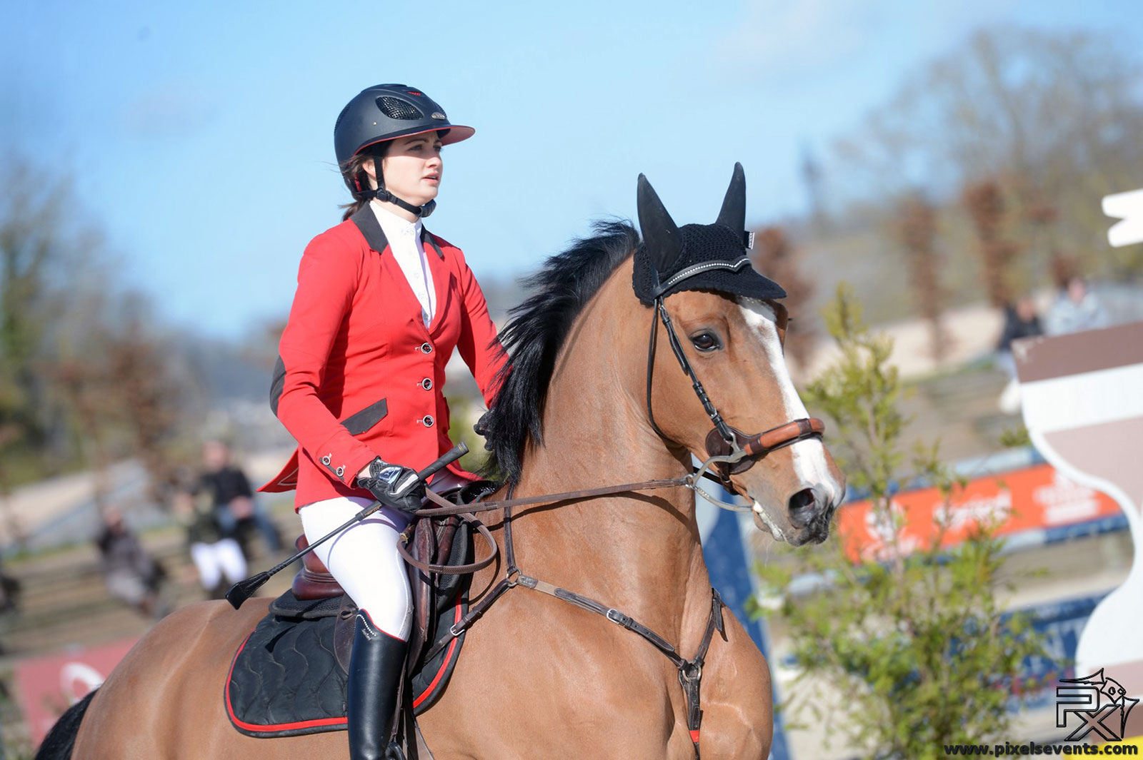 SPORT ET DRESSAGE CANINS - Troyes