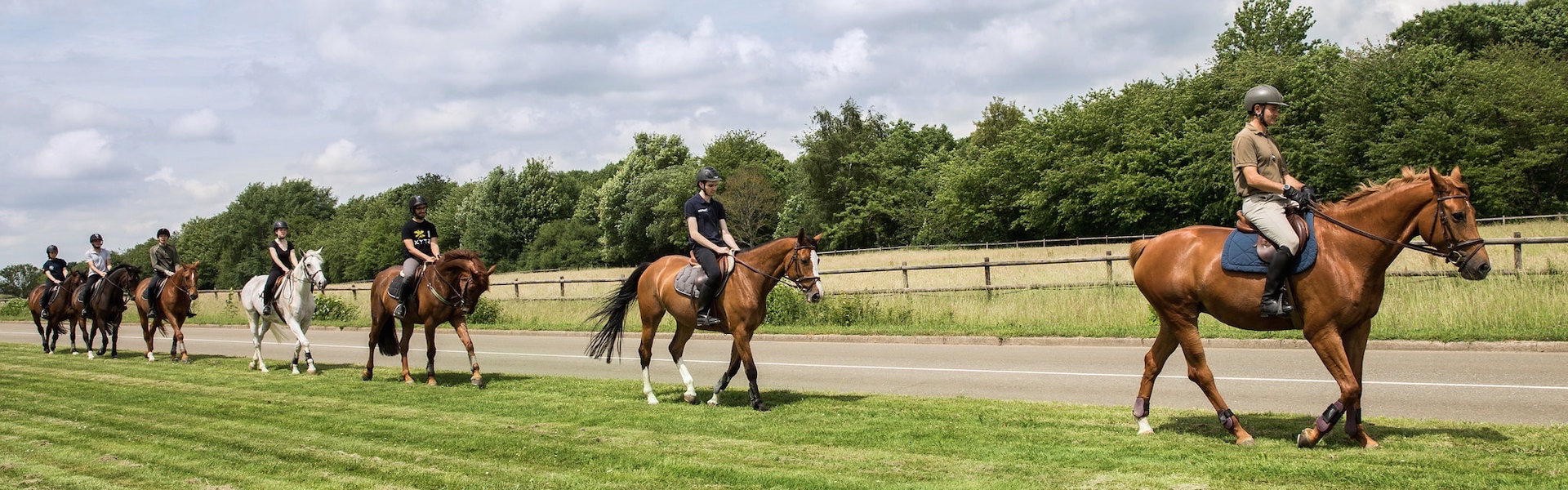 HARAS NATIONAL DE SAINTES - Saintes