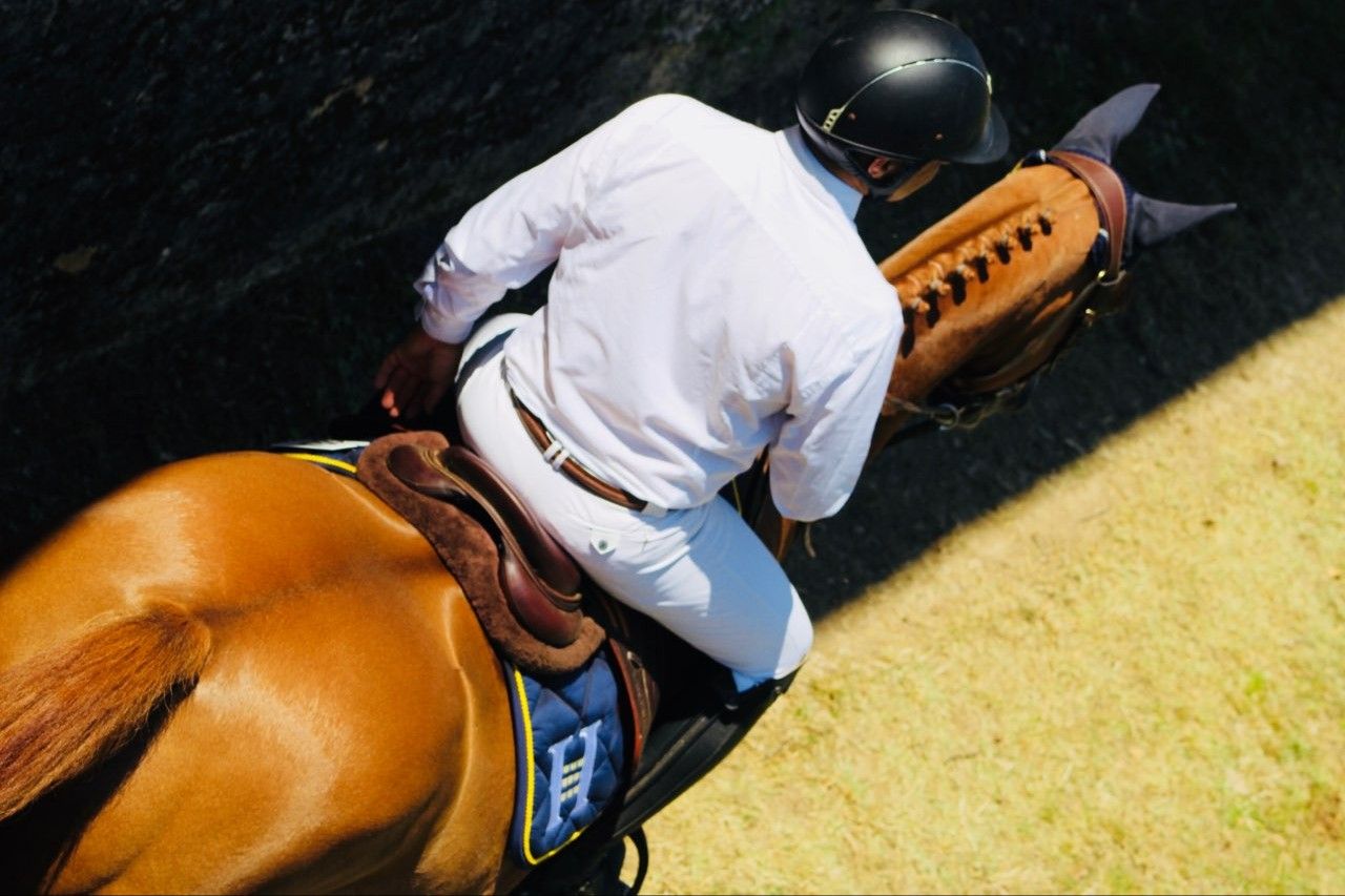 SELARL DE VETERINAIRES DES DRS AMMANN, PIC (CLINIQUE EQUINE DE SERS) - Pau