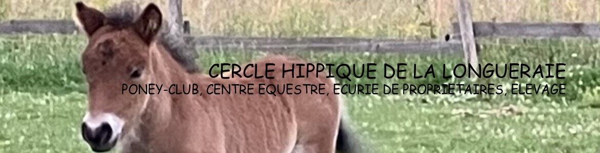 ECURIE DES THORETS - Cerisiers