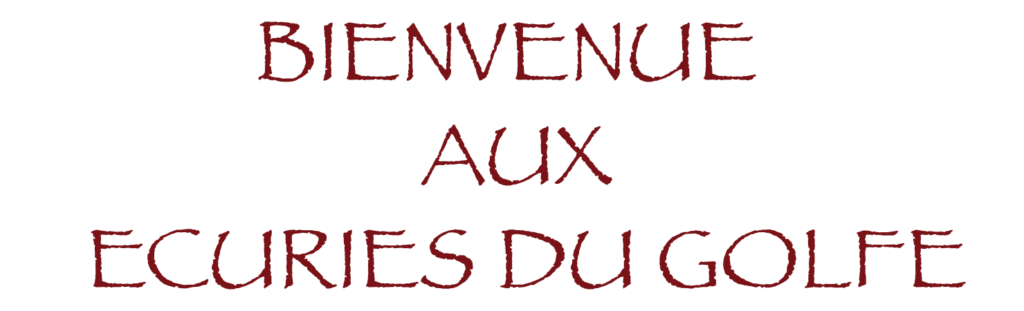 LES ECURIES DU GOLFE (LES ECURIES DU GOLFE) - Montagnac